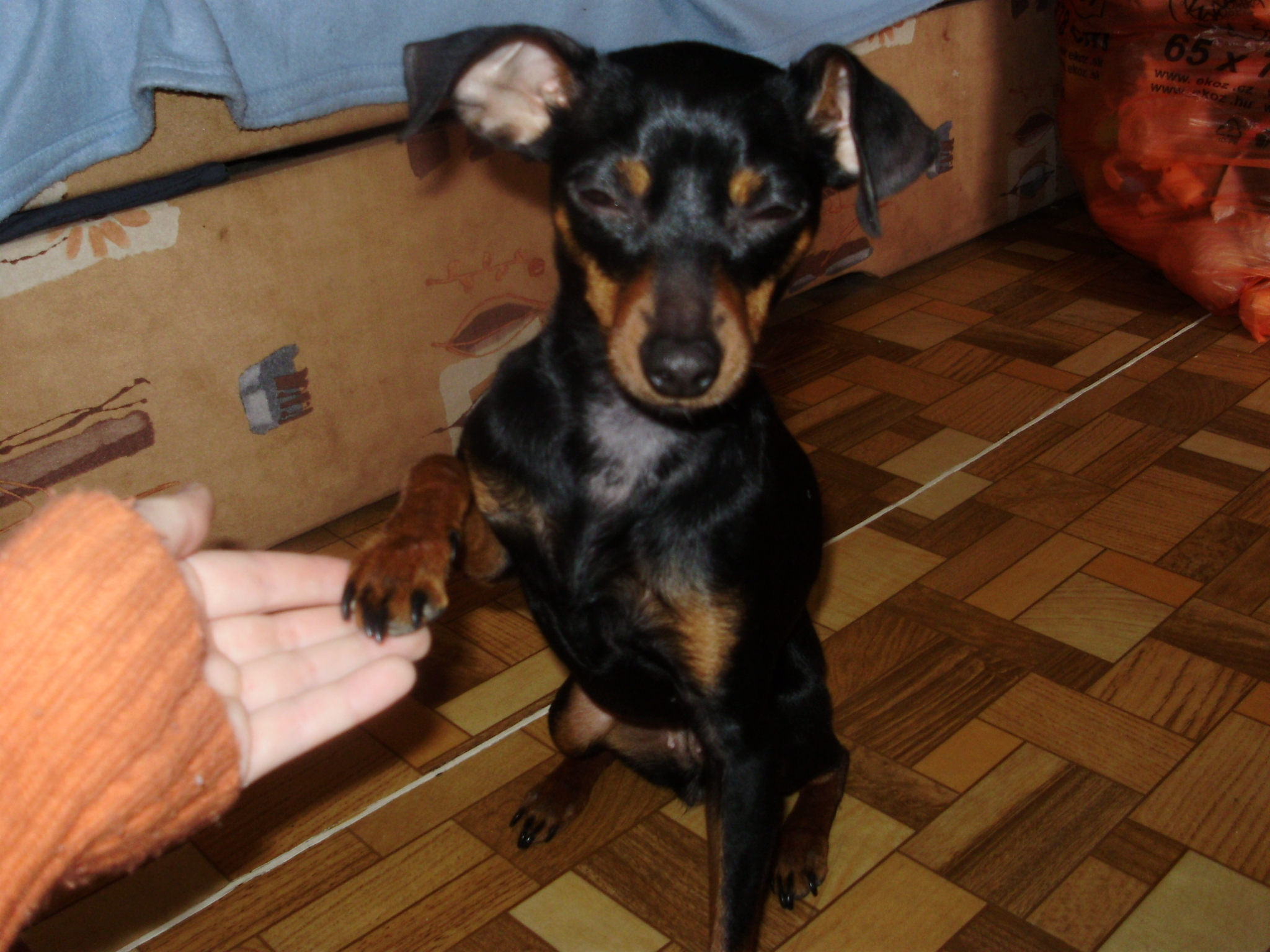 P2230661.JPG